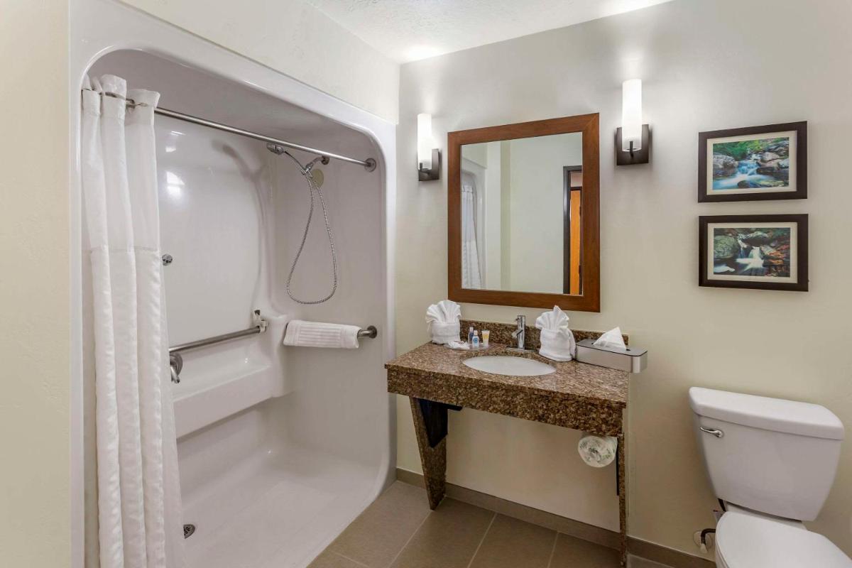 Comfort Suites Ogden Conference Center - Housity