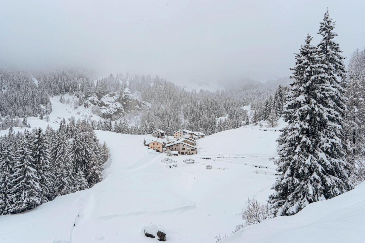 Charming 3½ room cottage in Valposchiavo - Housity