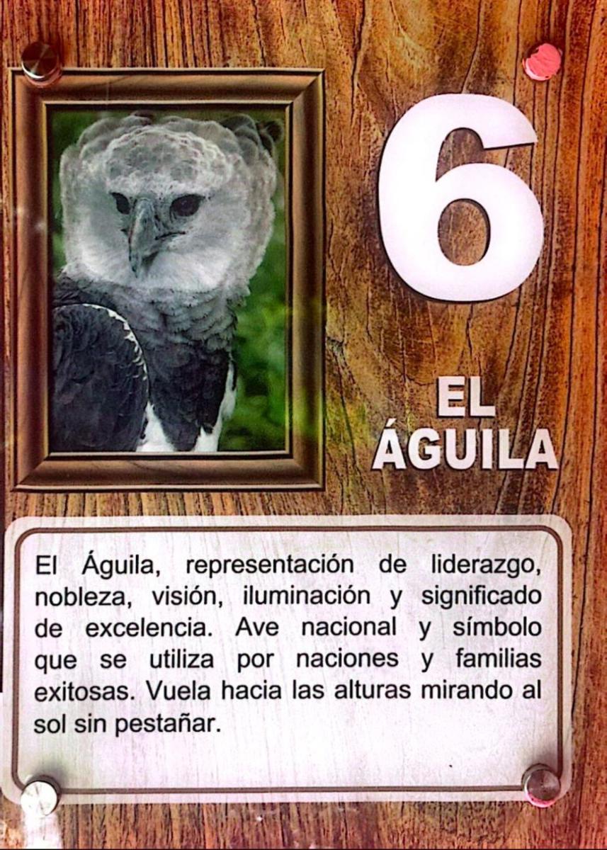 Casa de Quincha - Housity