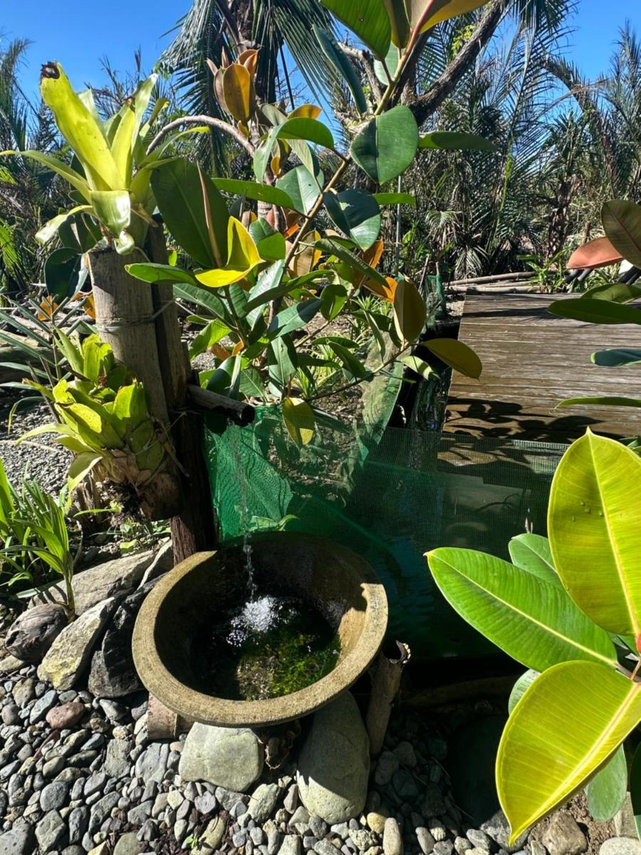 Lotus Sun & Waves Beach Resort - Housity