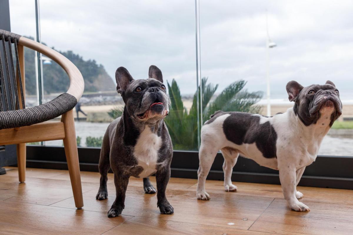 Mascotas con sus dueños en Hiru Uhinak