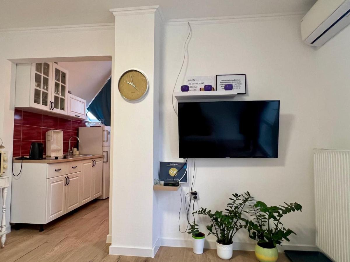 Guest house Ruža - Housity