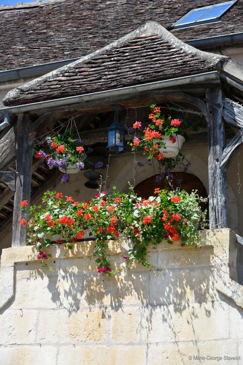 Domaine Borgnat - Housity