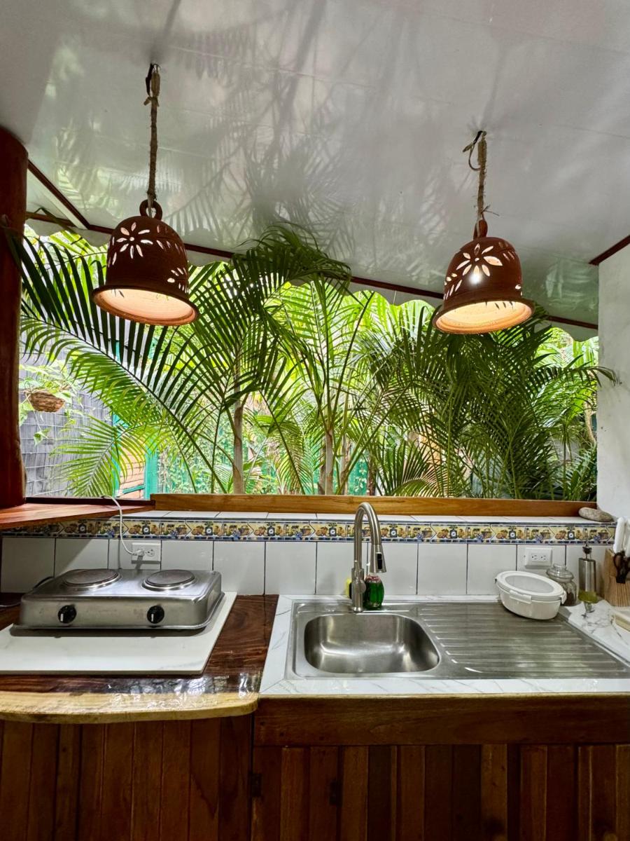 Colibri Ecolodge 3 minutes walk to beach and town - Housity