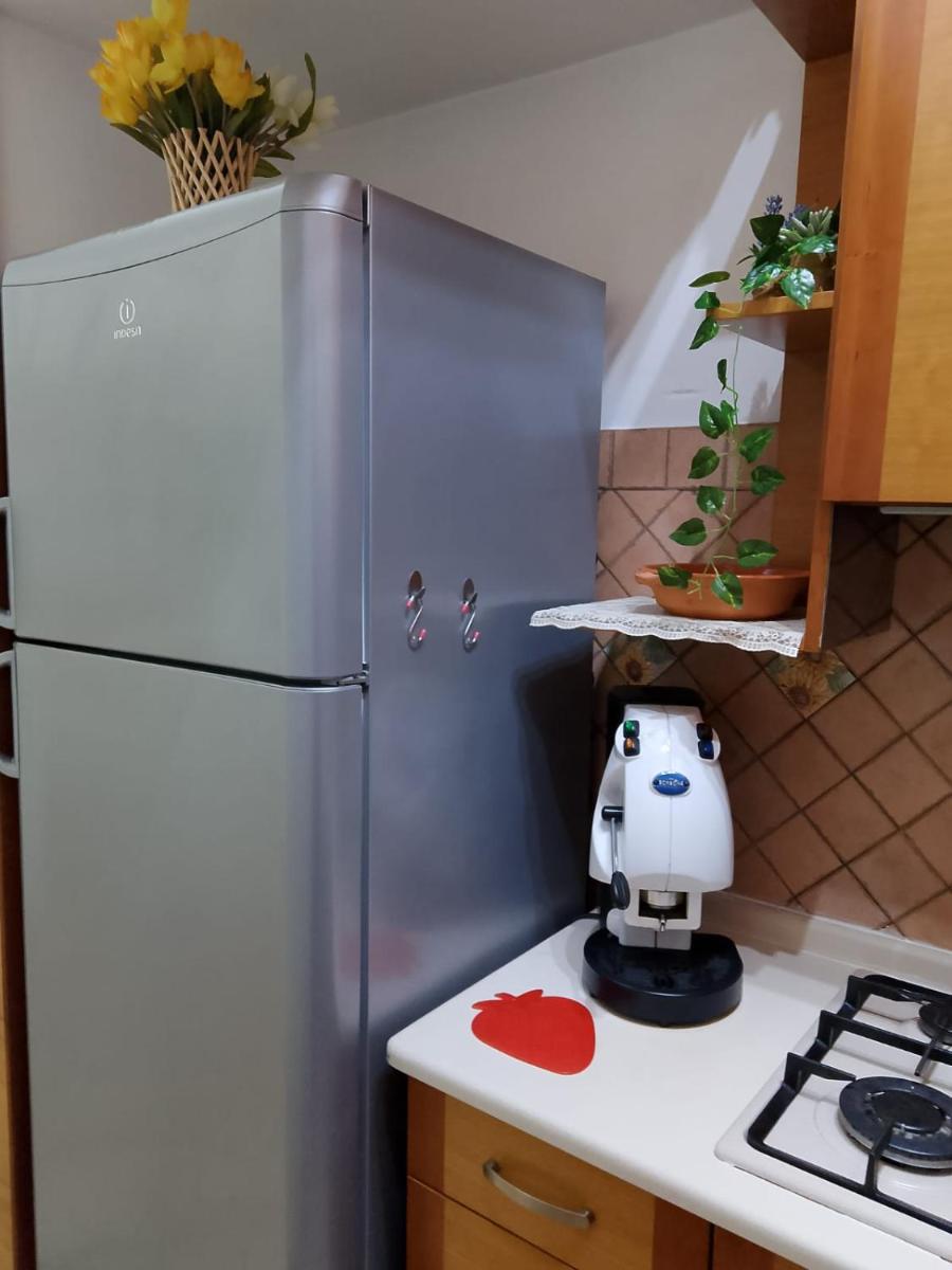 MOONLIGHT HOUSE - Housity