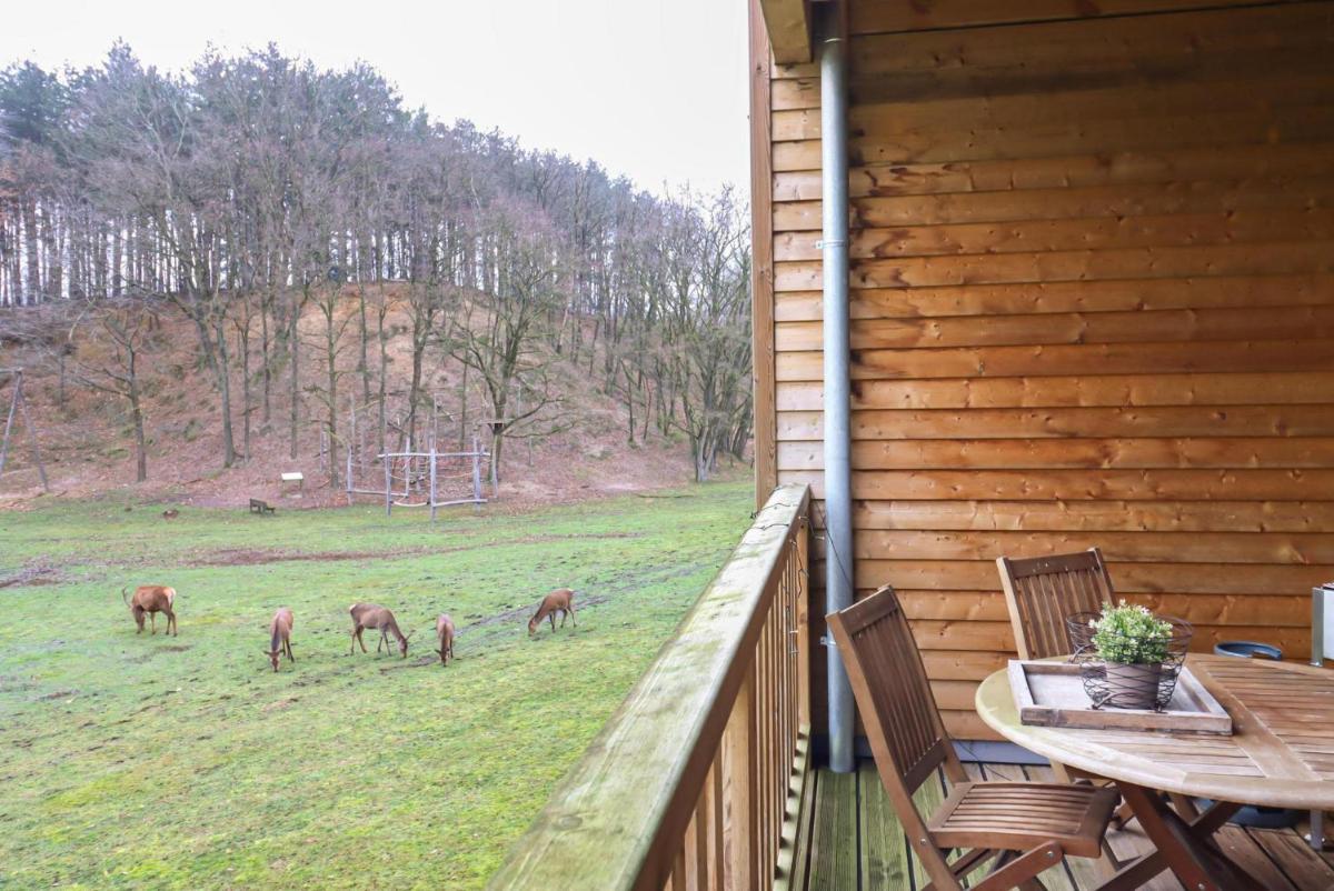Recreatiedomein Warredal - The Lodge - Housity