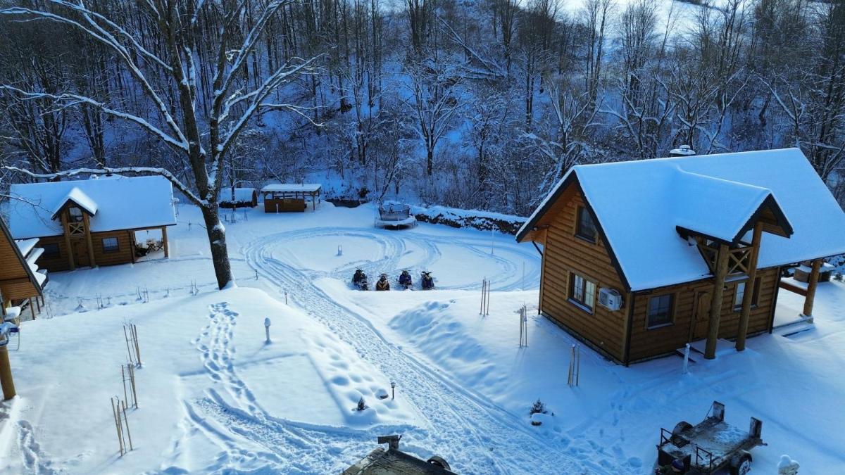 Niedźwiedzia Dolina - Housity