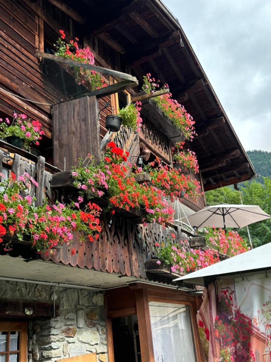 Gîte la montagne - Housity