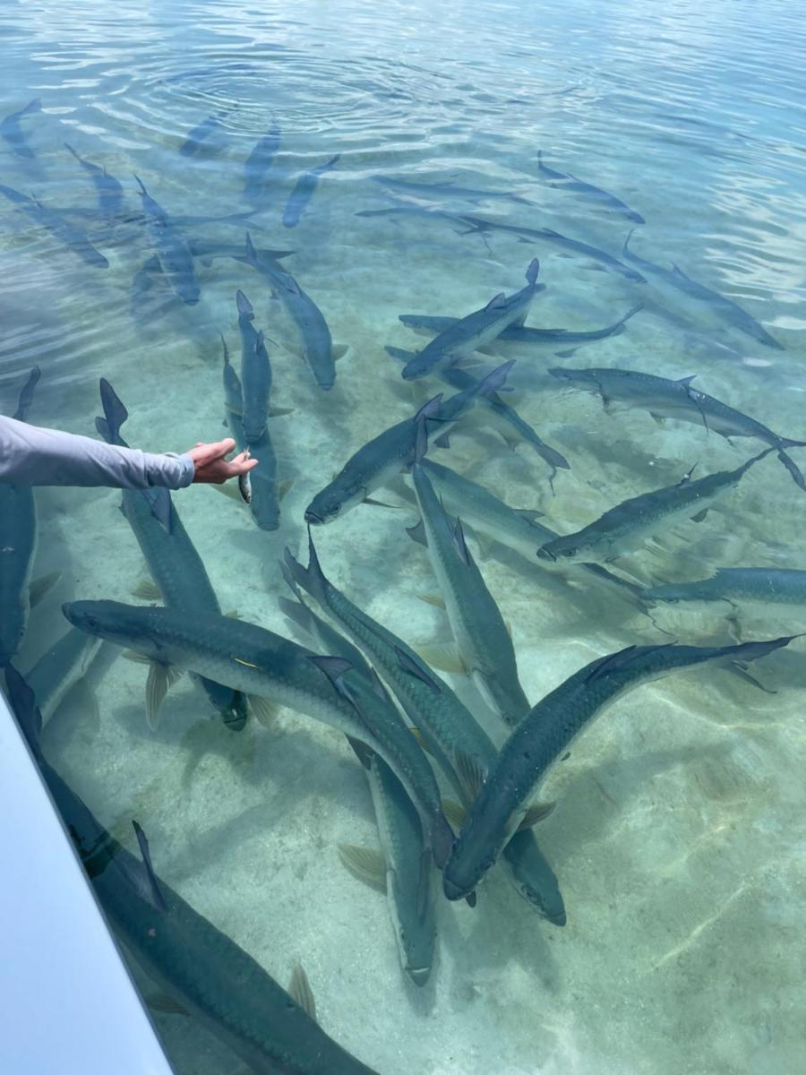 Hidden Treasure Vacation Home Bay Blue Suite 2 - Hizvo