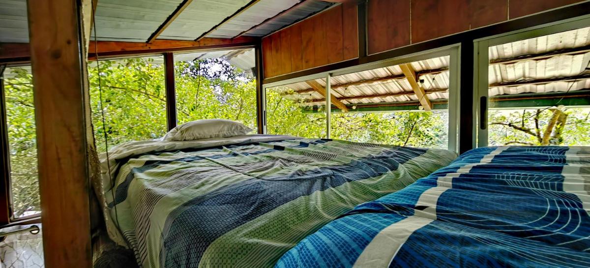 Cabaña treehouse Mountain View - Housity