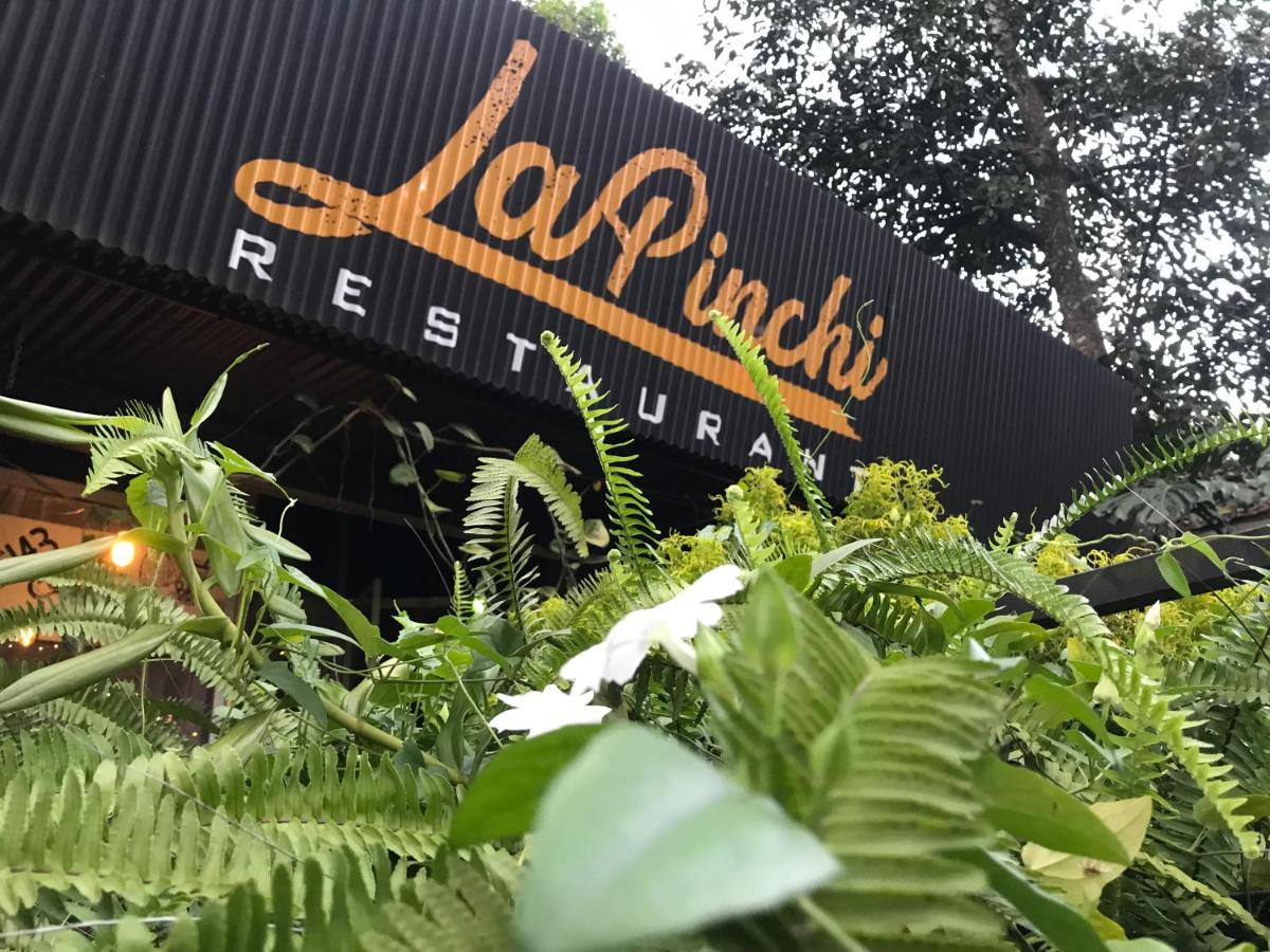 La pinchi 
