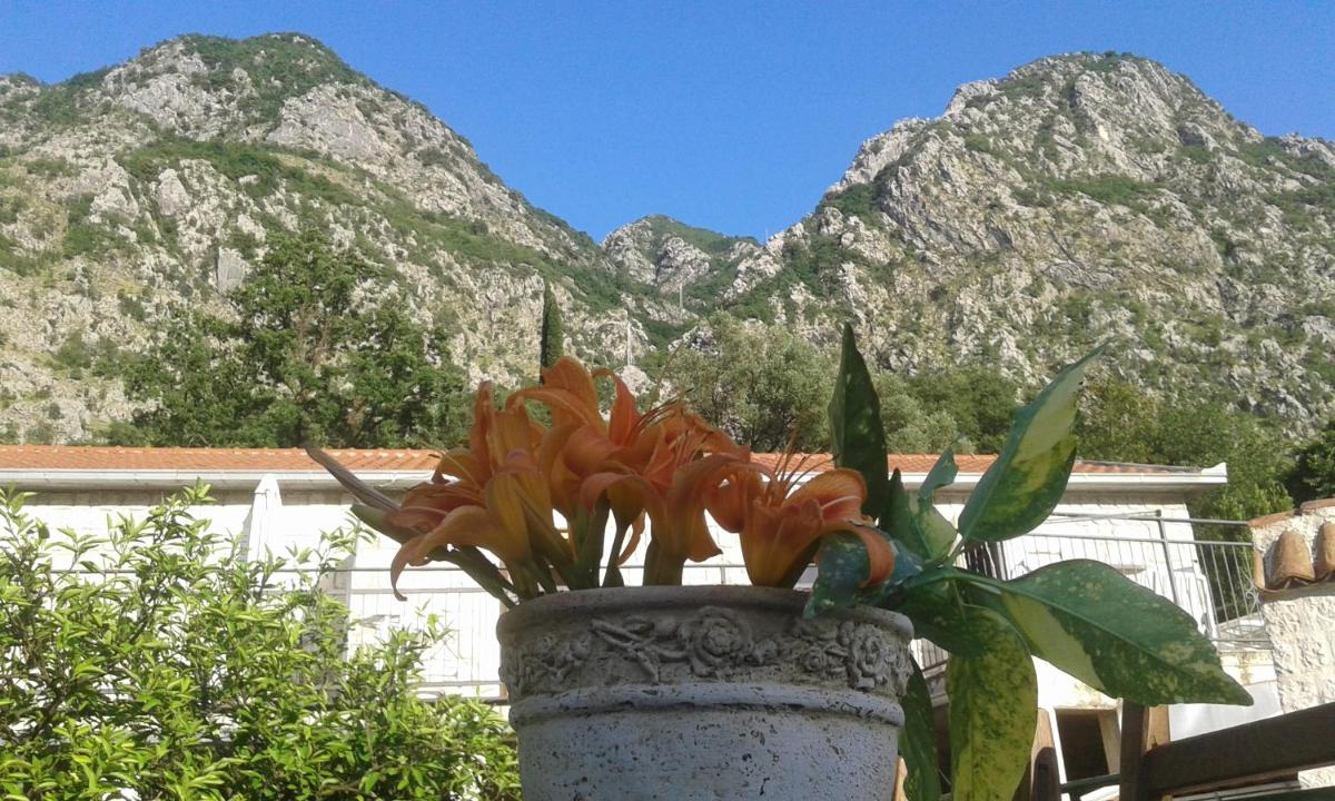 Apartments in Rustic House - Housity