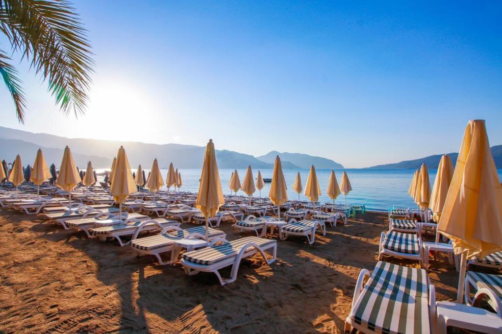 Aurasia Beach Hotel - Housity