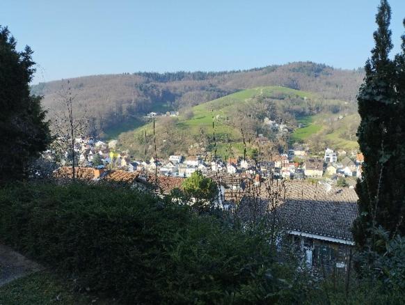 Das Tor zum Odenwald - Housity