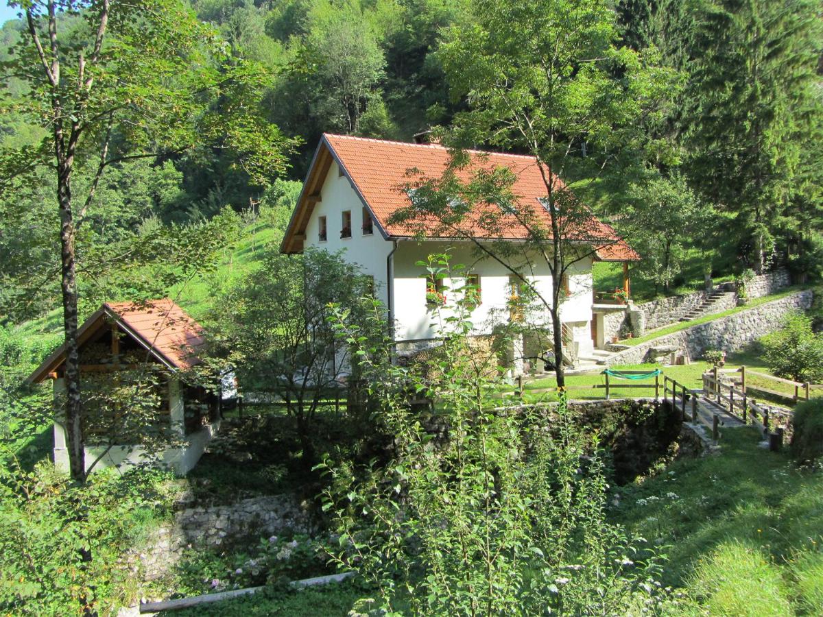 House Dolenja Trebuša - Housity