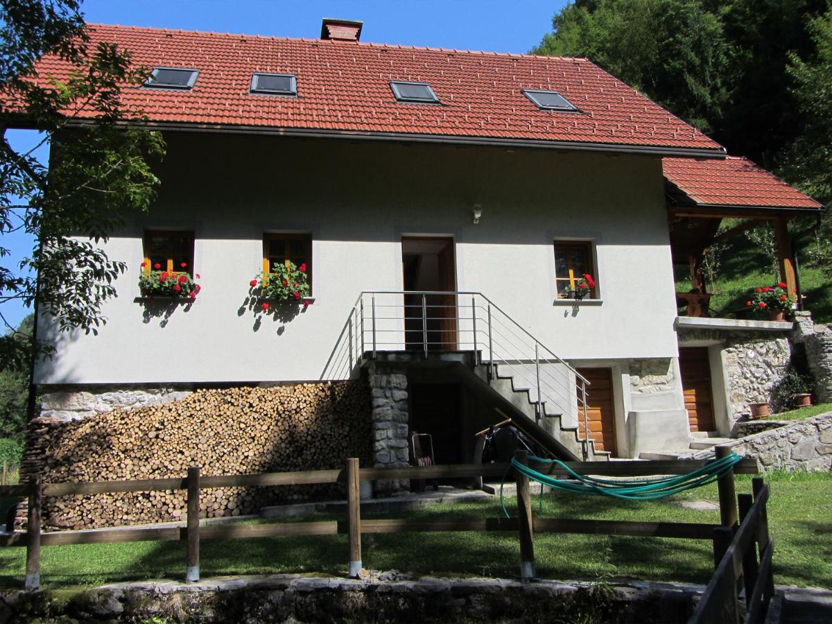 House Dolenja Trebuša - Housity