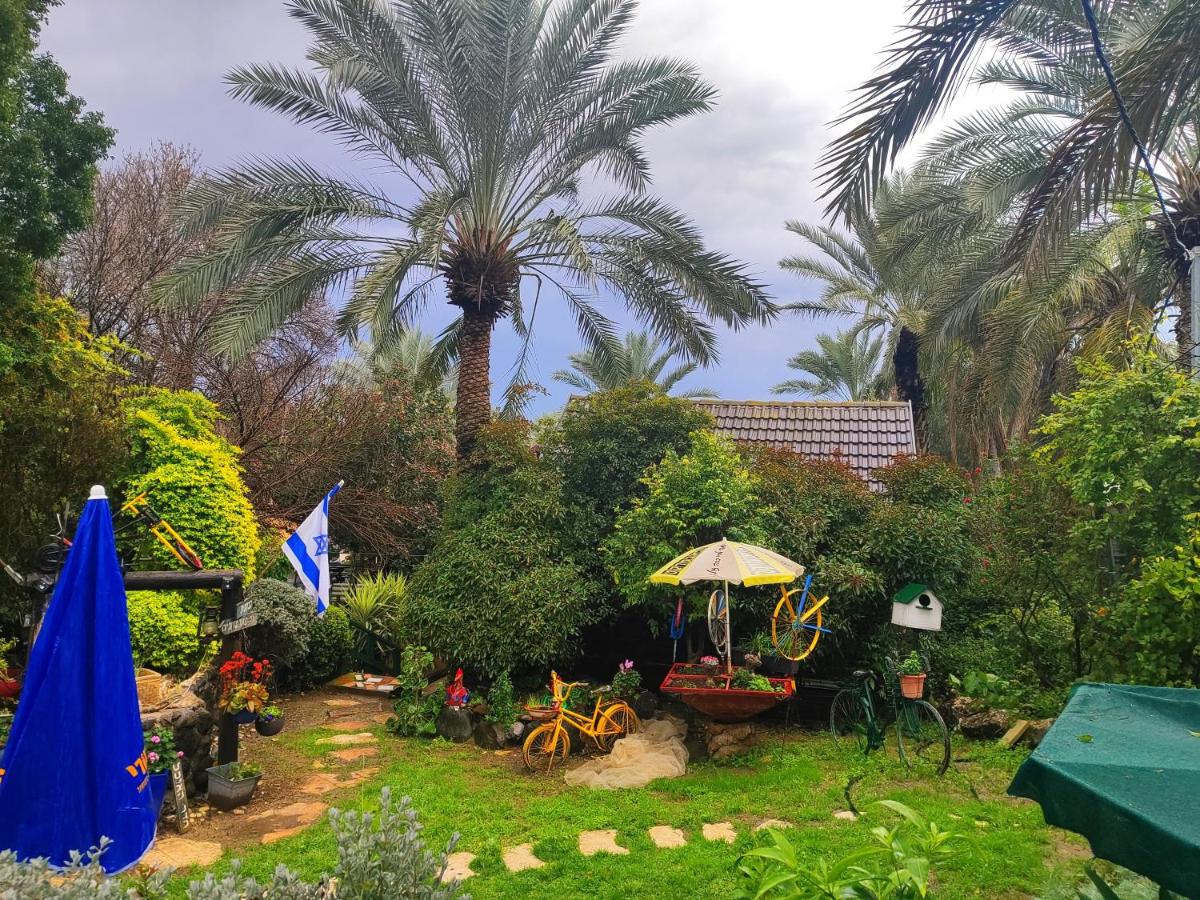 Suite in nature - Housity