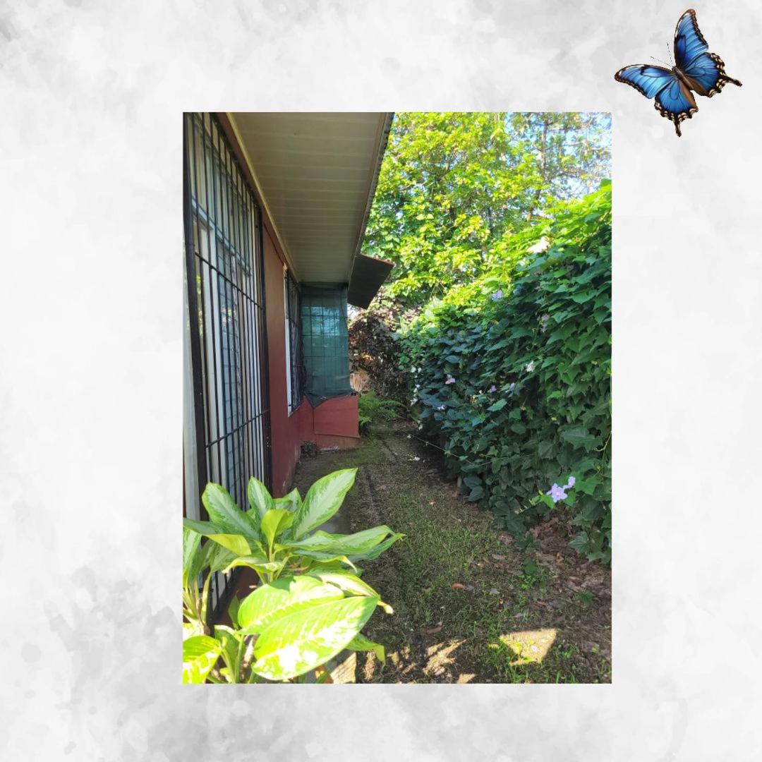 Morpho Casa Vacacional - Hizvo
