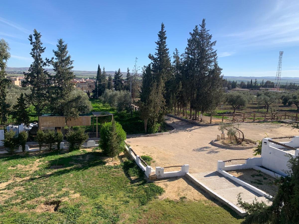 Villa Julia Veneria - Housity