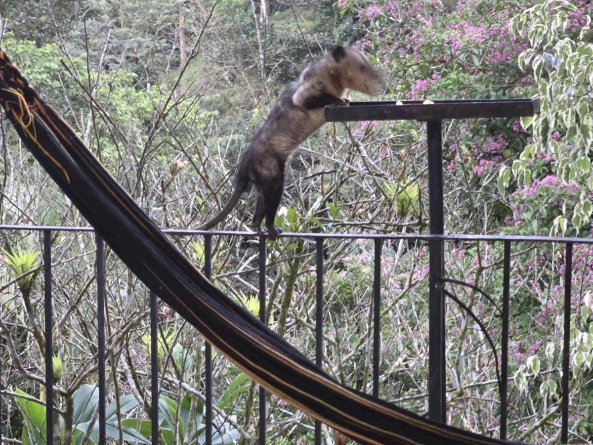 El Valle de Anton La Chachalaca - Housity