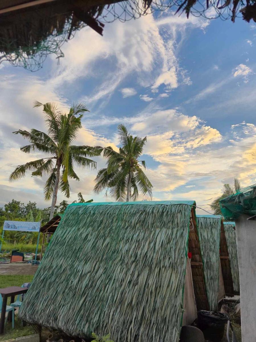 Nirvana resort & dive centre - Moalboal - Housity