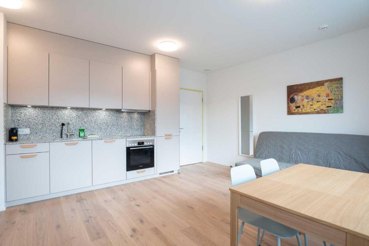 HITrental Letzigrund - Apartment - Housity
