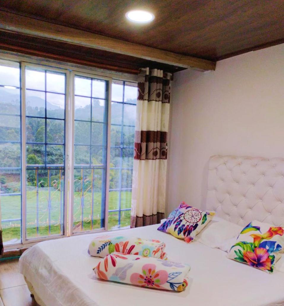 Girasol 2 - Housity