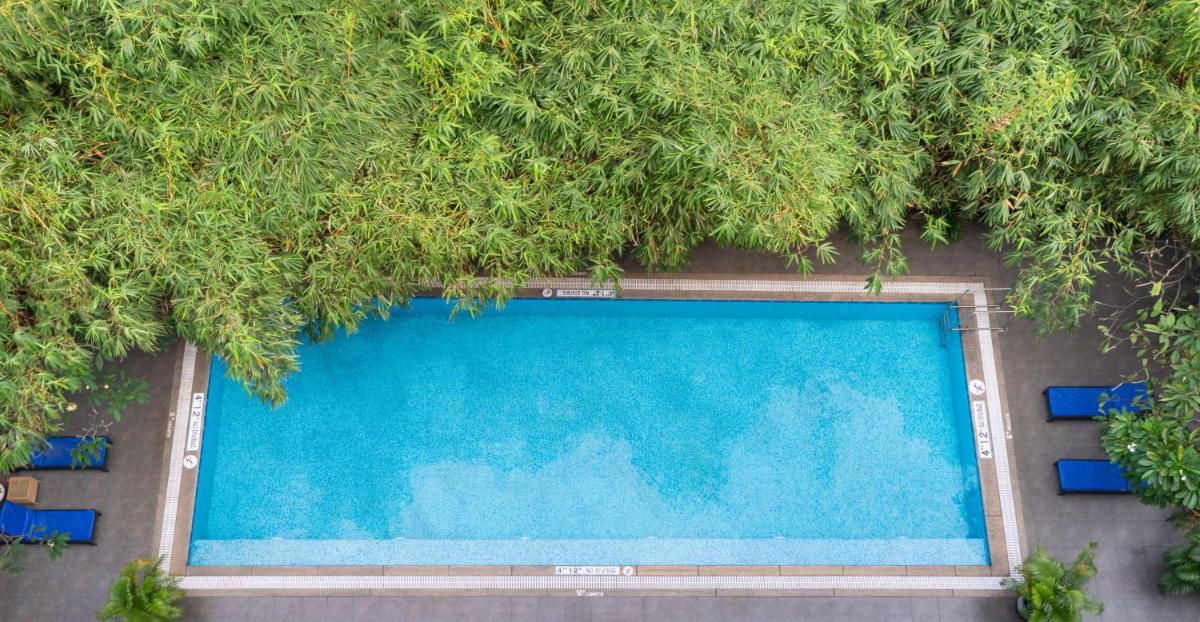 an overhead view of a swimming pool with trees at Park Plaza Chennai OMR in Chennai