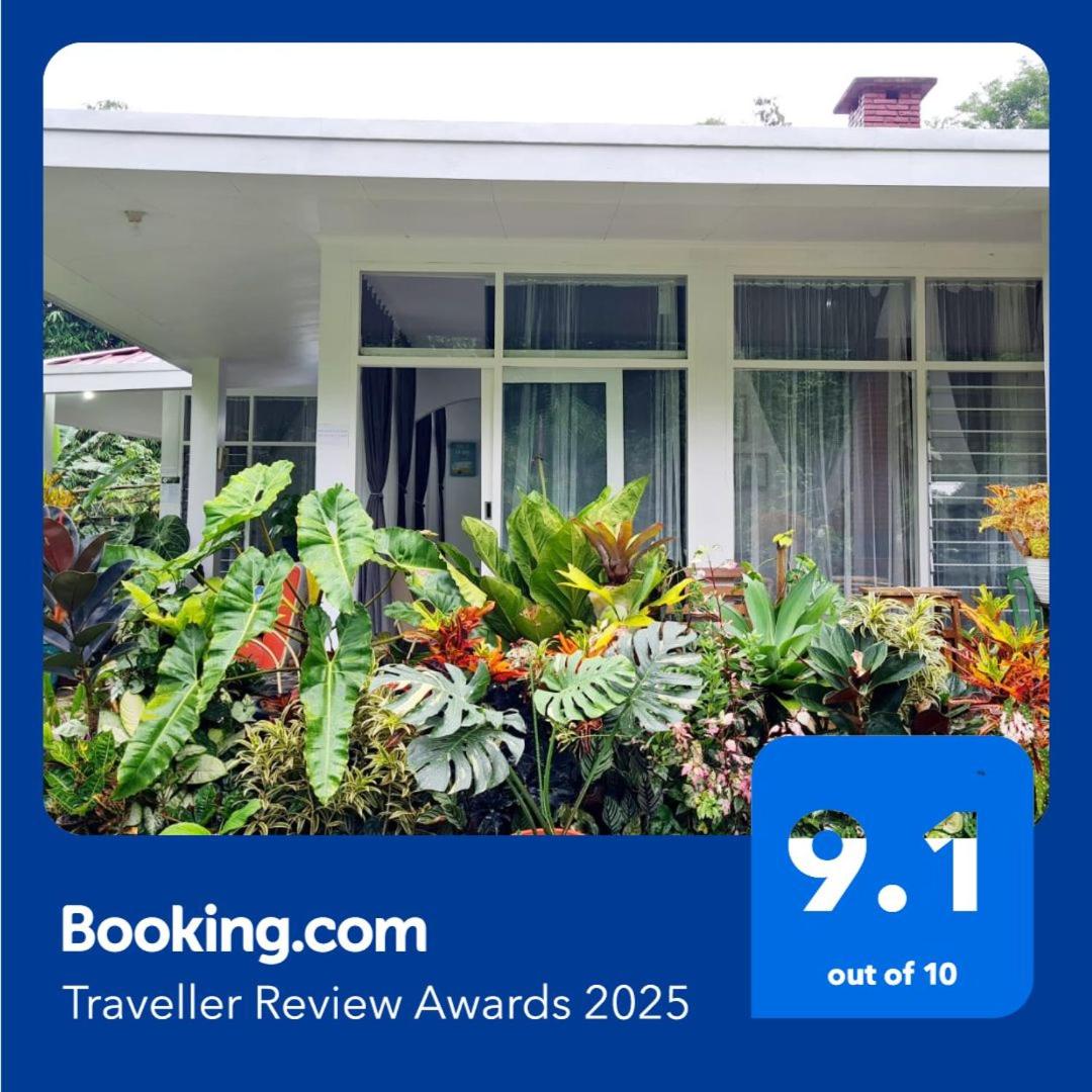 The Forest Villa - Housity