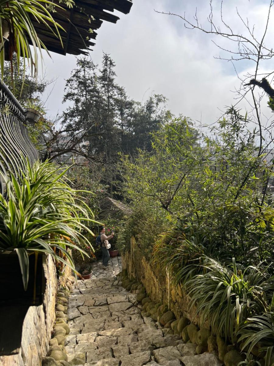Green Villa Sapa - Housity