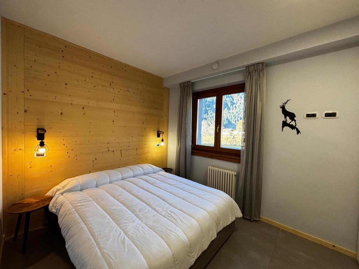 La Stella delle Dolomiti - Pinzolo - Housity