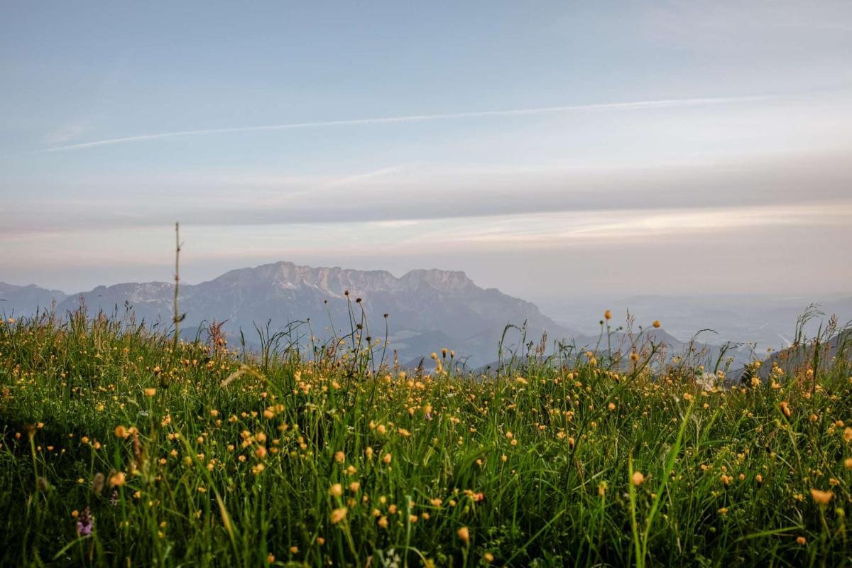 Naturlandschaft in der Nähe des Resorts