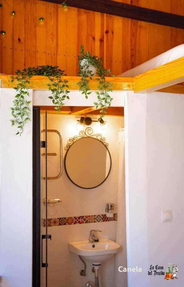 La Casa del Druida - Housity