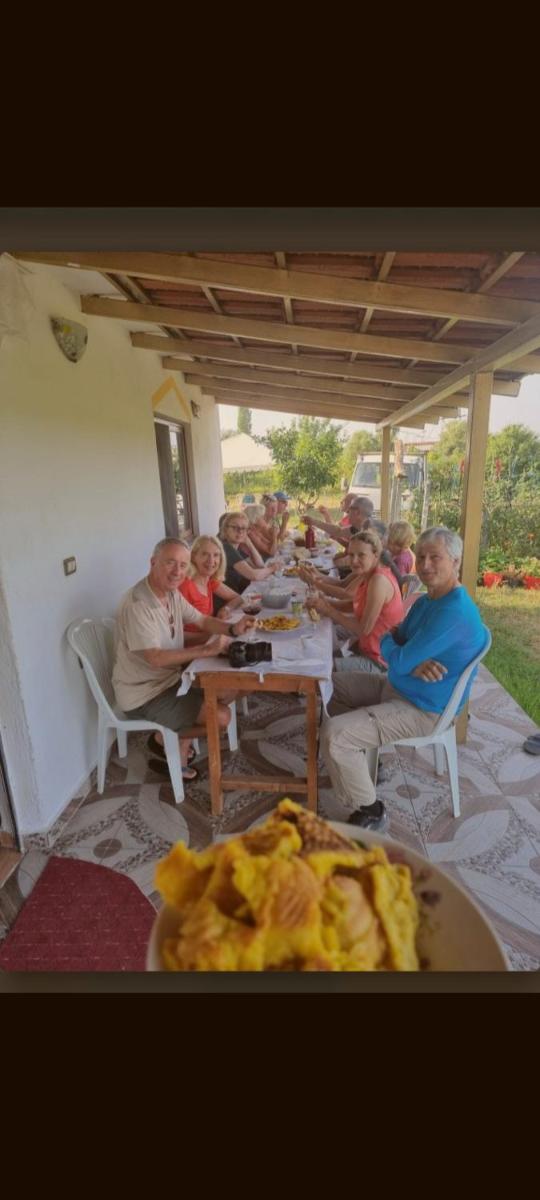 Guesthouse Gjegji - Housity