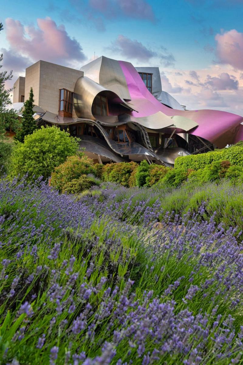 Jardín al aire libre en Hotel Marqués de Riscal, a Luxury Collection Hotel, Elciego
