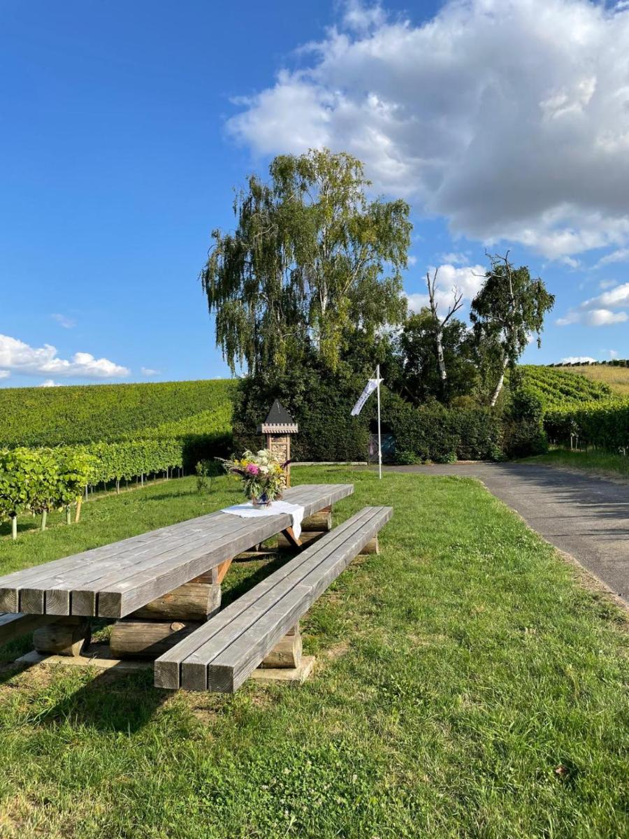 Gästehaus Rebstock im Weingut Schrauth-Becker - Housity