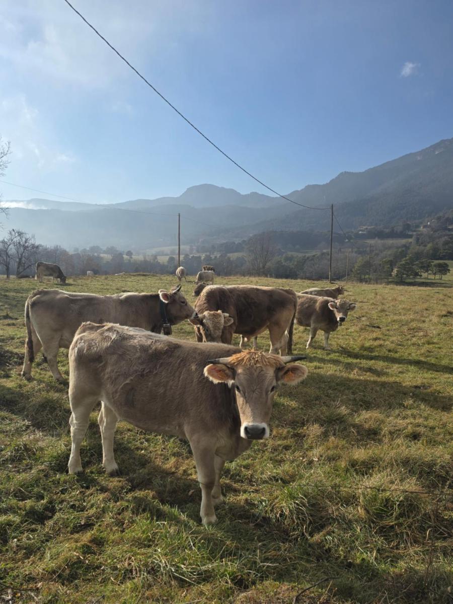 Complex Rural Can Caubet - Housity