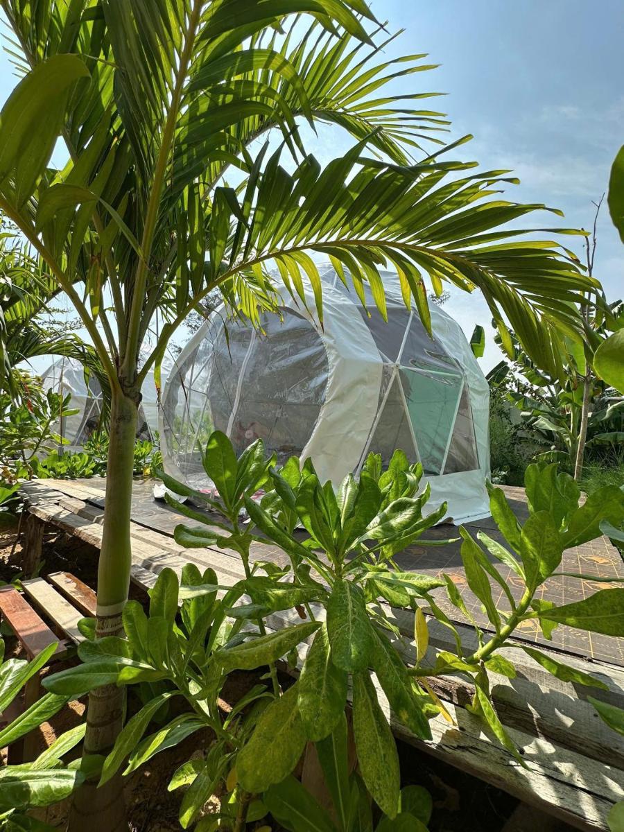 TP-HOMES PHAN THIẾT - Housity