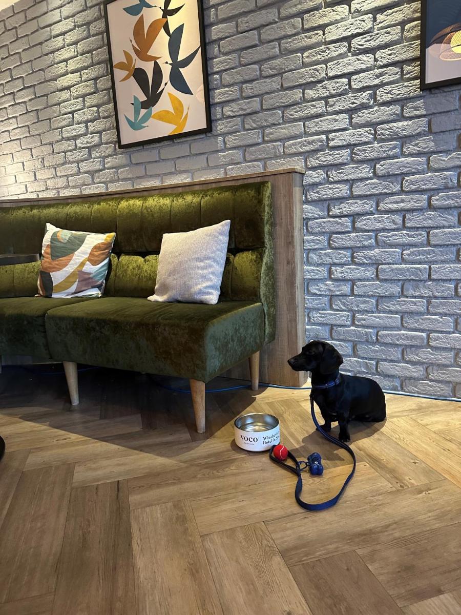 voco Winchester Hotel & Spa, an IHG Hotel - Housity