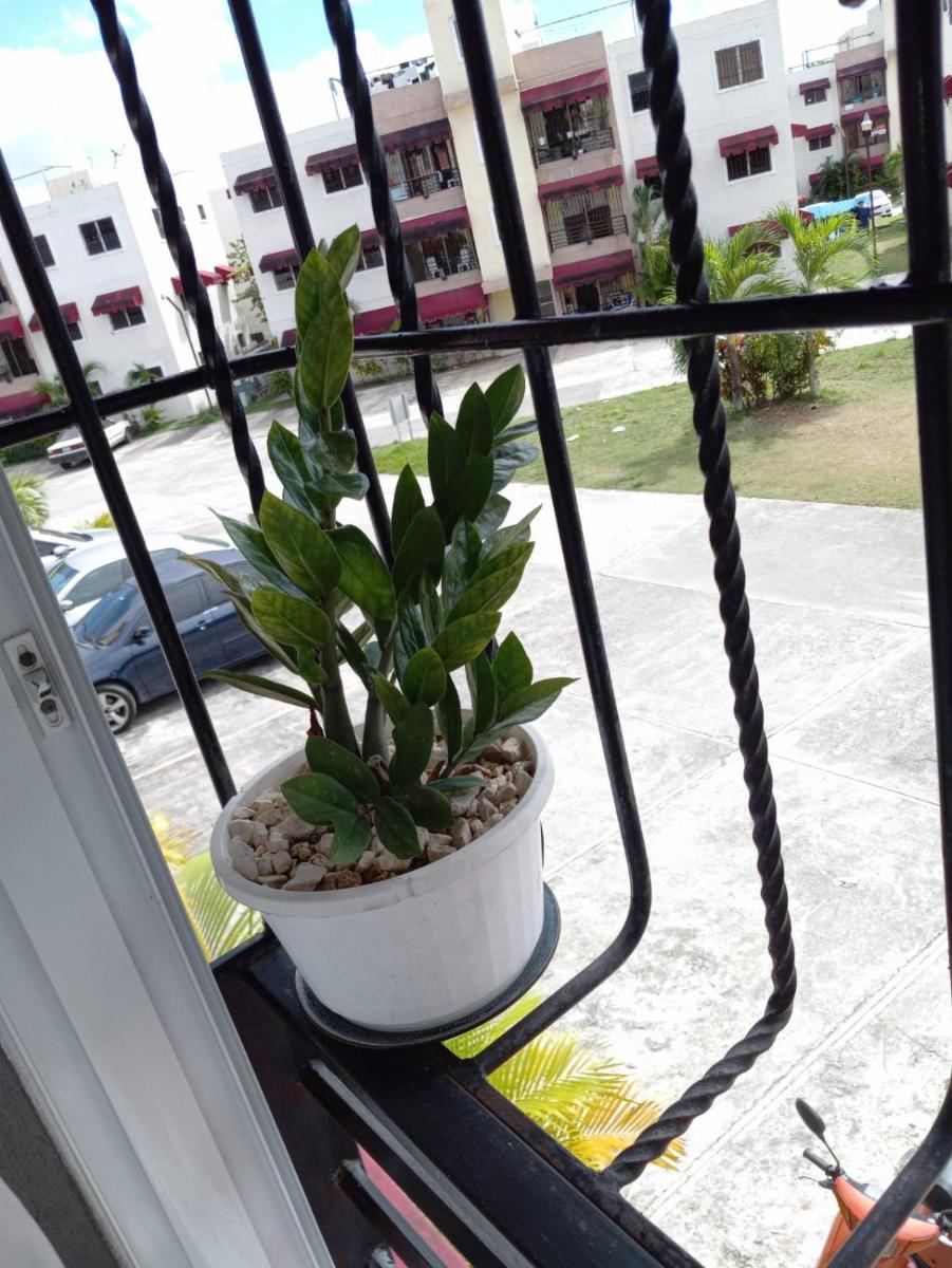 Precioso apartamento, residencial ideal familia a 10 minutos Embajada Americana - Housity