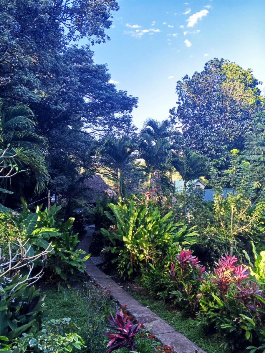 Maya Mountain Lodge - Housity