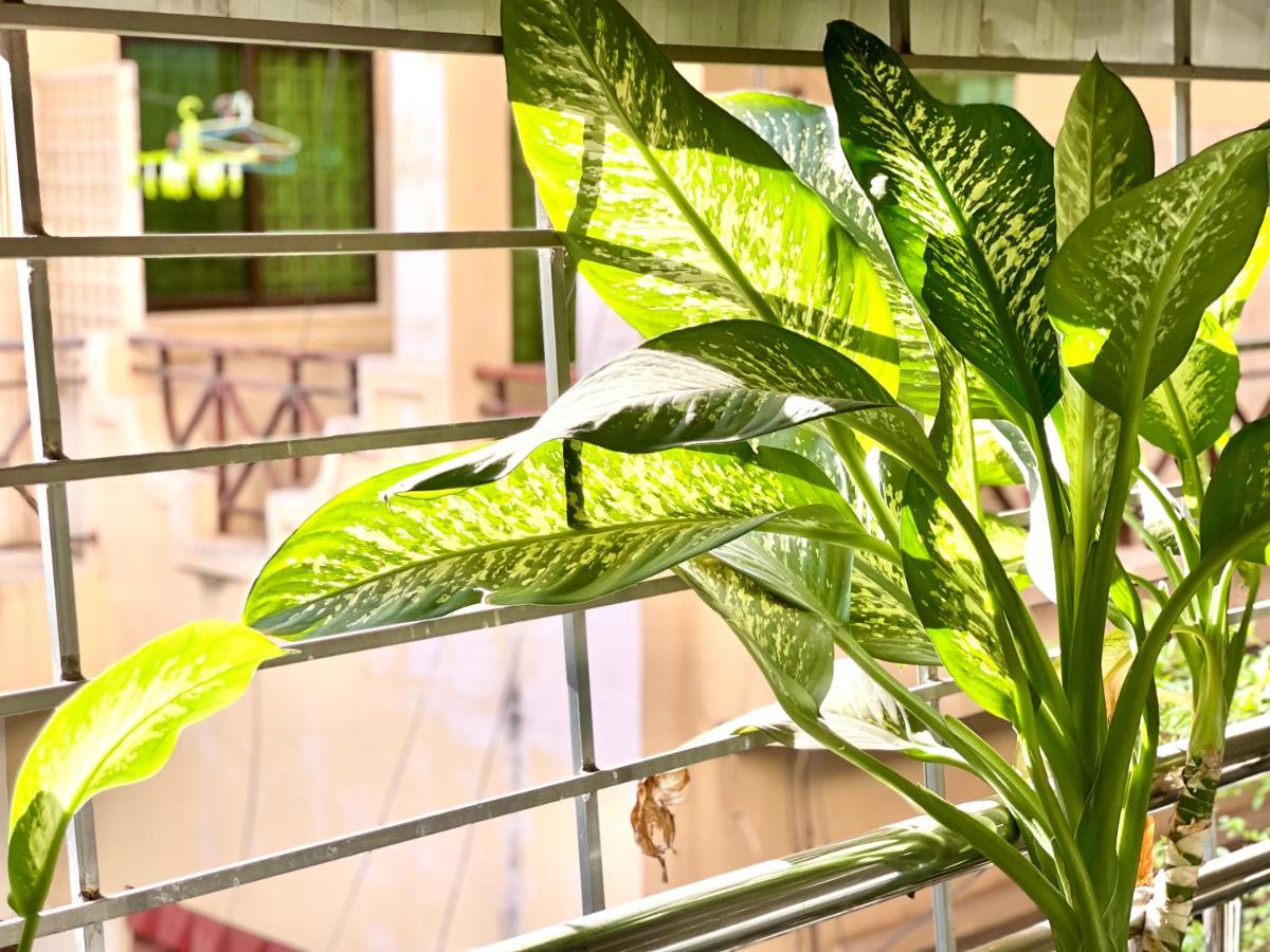 SKY Residence - Formerly RS Guesthouse - Housity