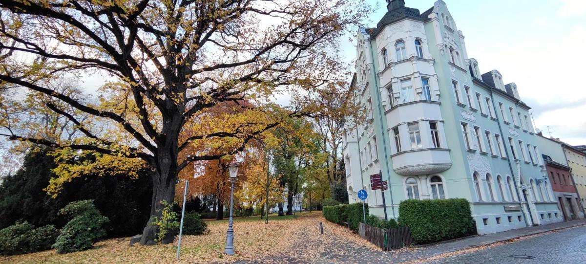 Ferienwohnung Romanze - Housity