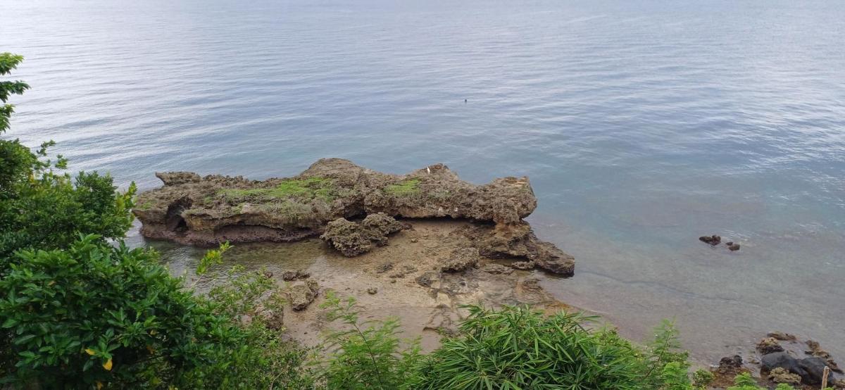 Bohol-Lahoy Dive Resort - Housity