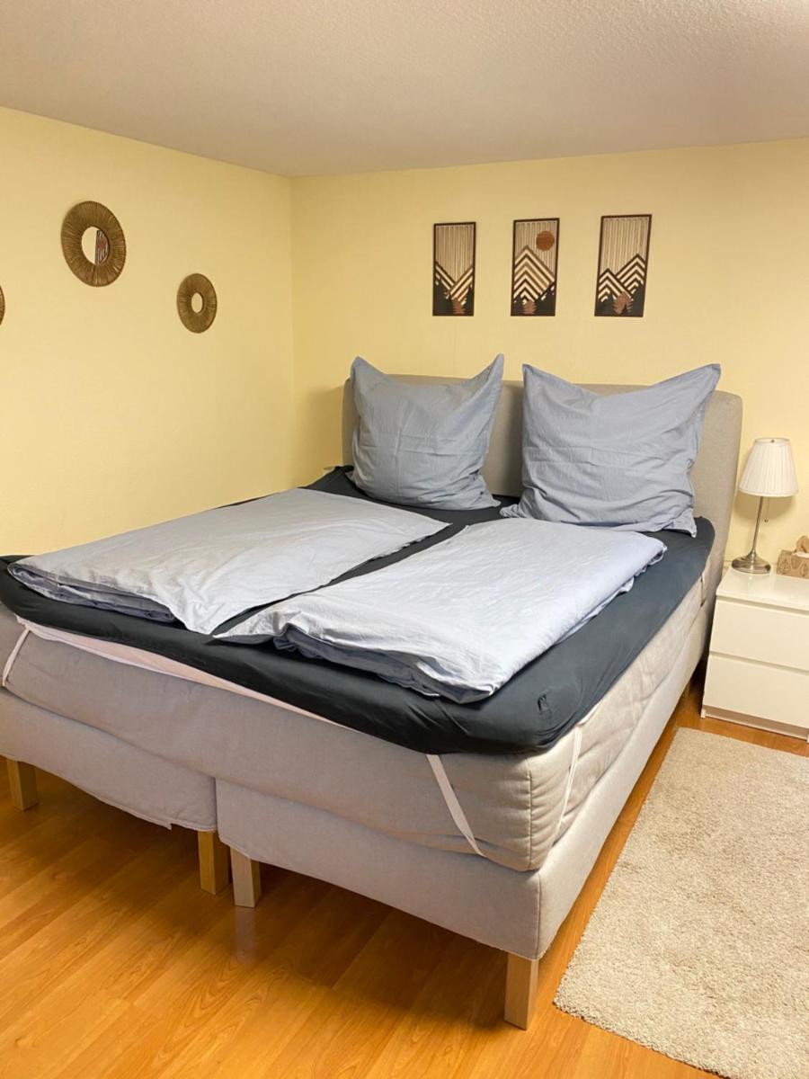 ruhiges privates Zimmer in Freiburg, zentrumsnah, Nähe Europapark - Housity