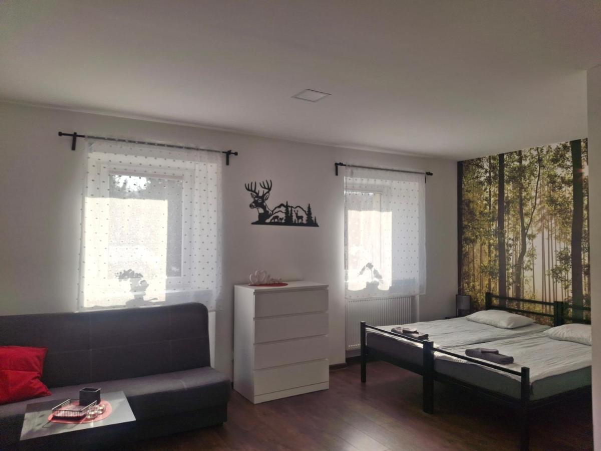 Agroturystyka pod niebieskim dachem - Housity