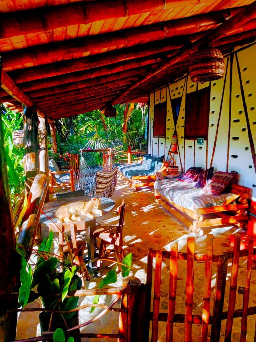 Hotel La Casa de Francois - Housity