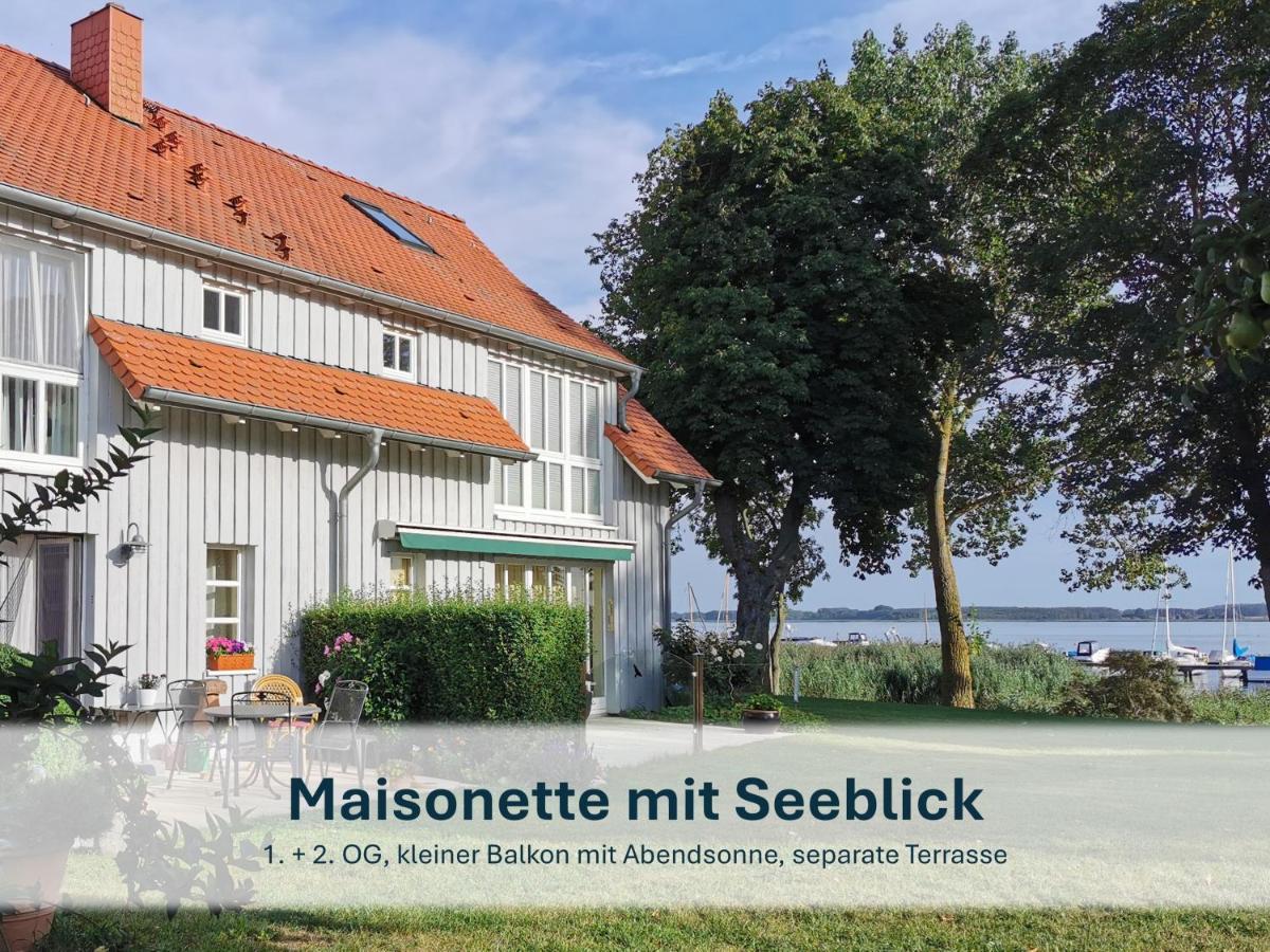Ziemitz, Paradies am Peenestrom - Housity