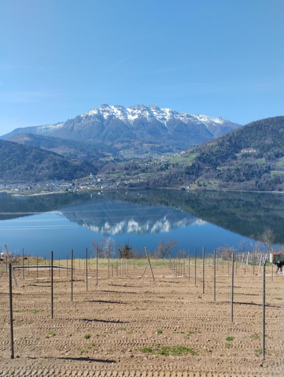 AGRITUR SEDICI - Bed and Breakfast - Housity