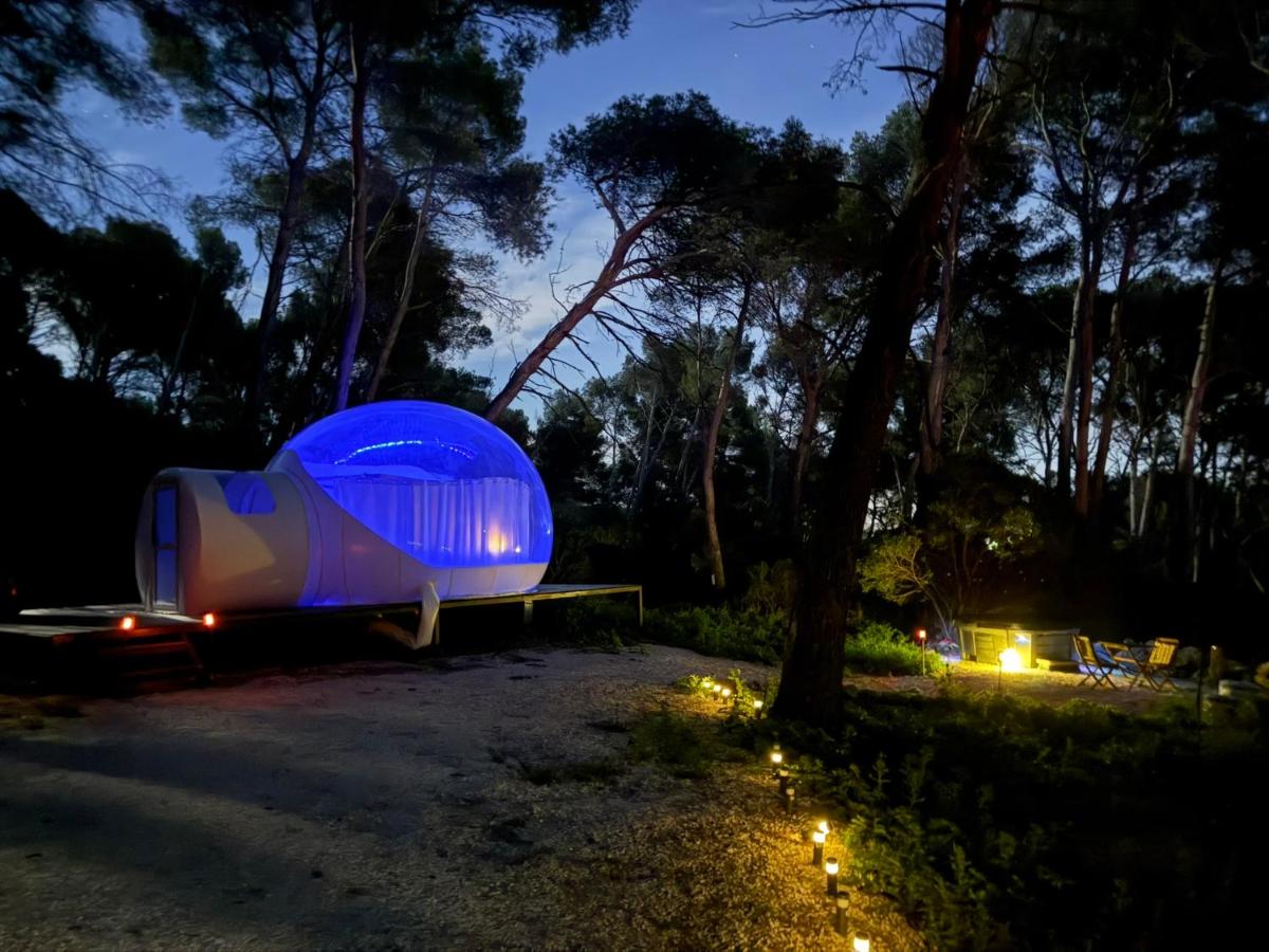 La Bulle des Pins - Housity